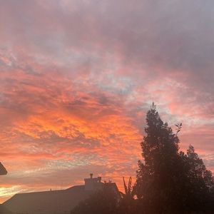 Meet your Posher, Juliana